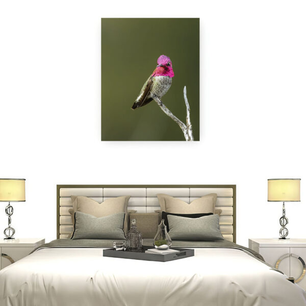 AnnasHummingbirdWallDisplay