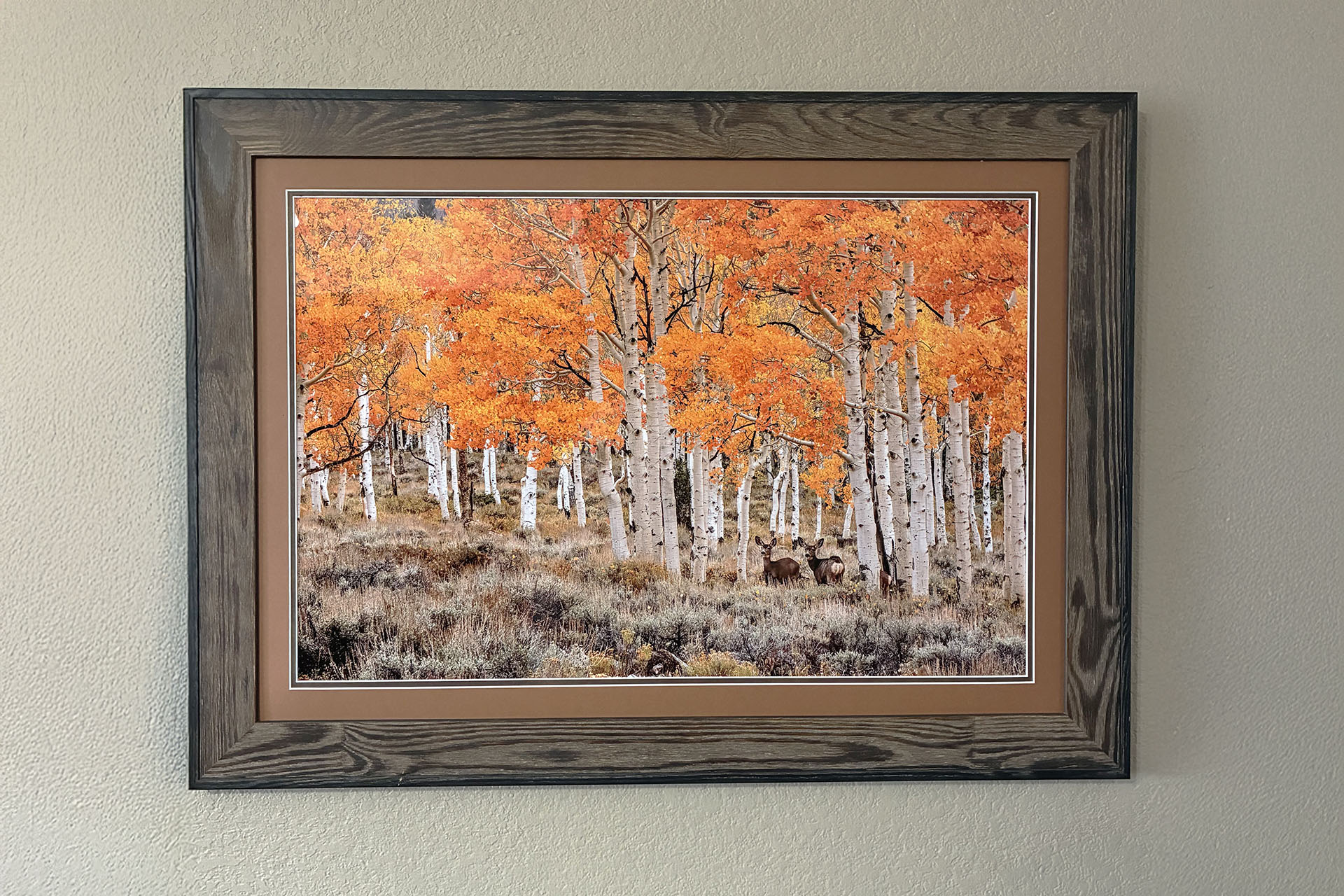 Deer in Orange Forest Customer Image with Frame