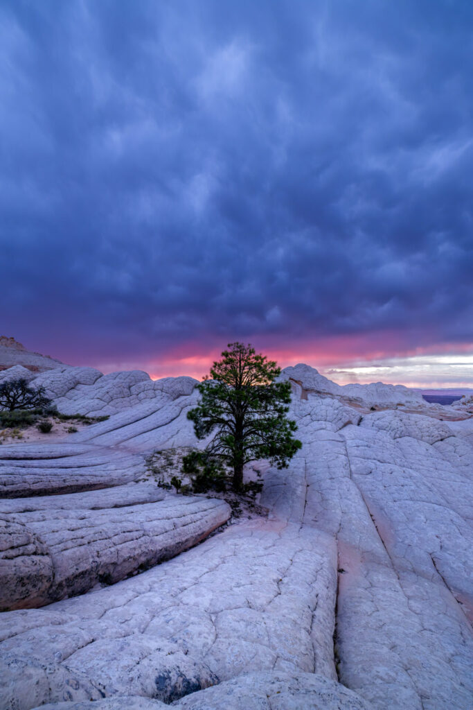 Magenta Sunset on Stormy Day