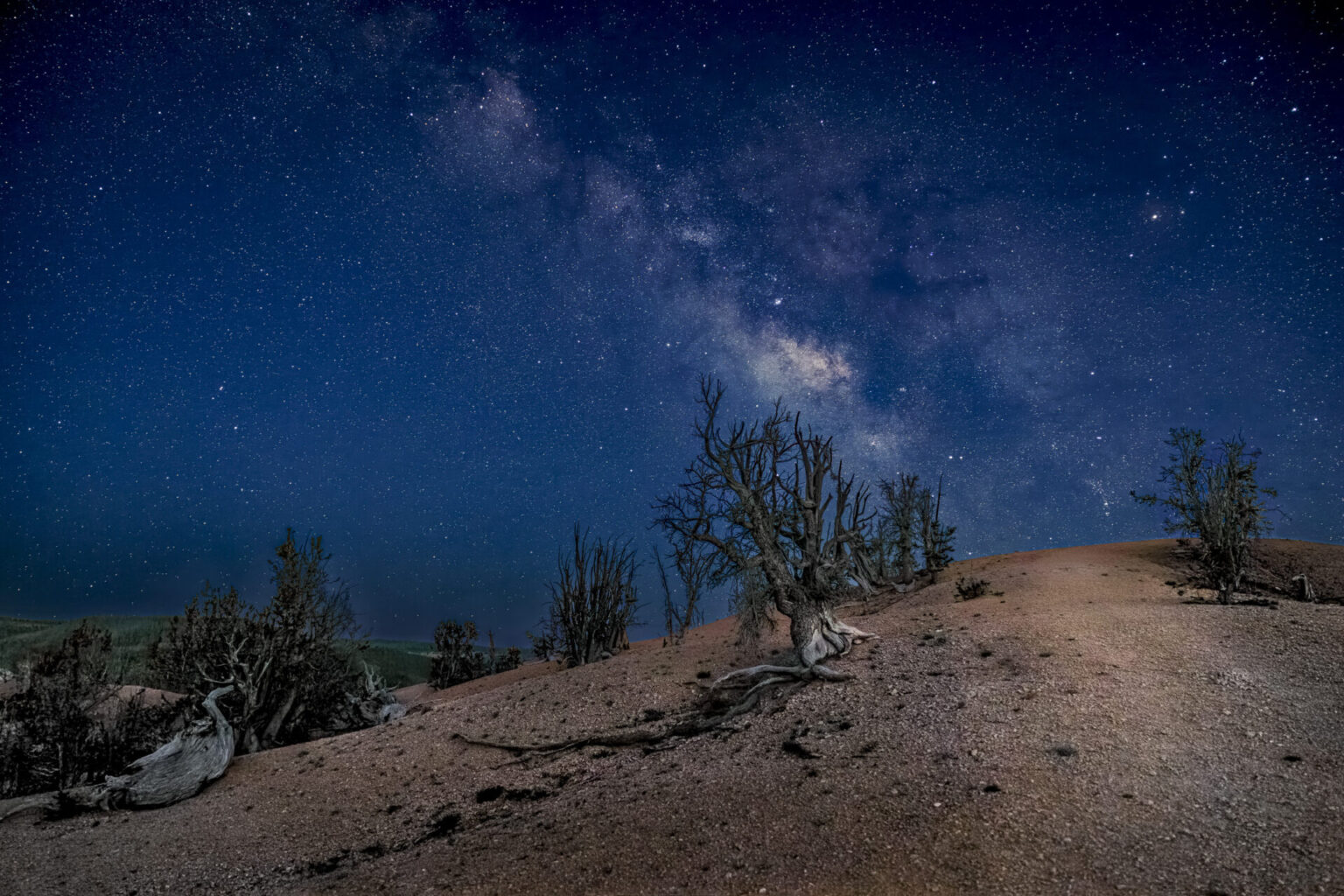 Nightfall on Twisted Forest