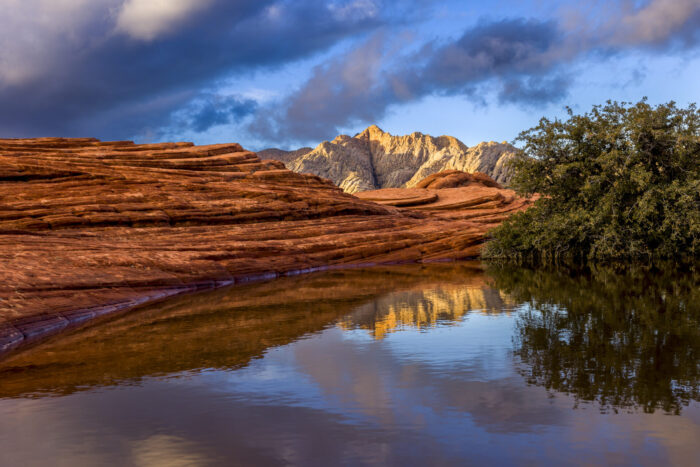 WinterPoolReflections