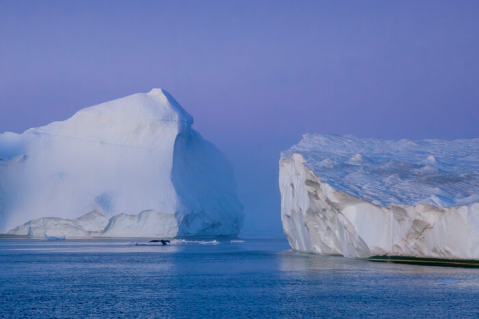 GreenlandLandOfGiants