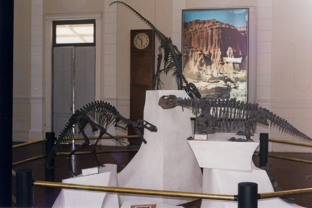 Inside the Museum of Natural Sciences belonging to the National University of San Juan