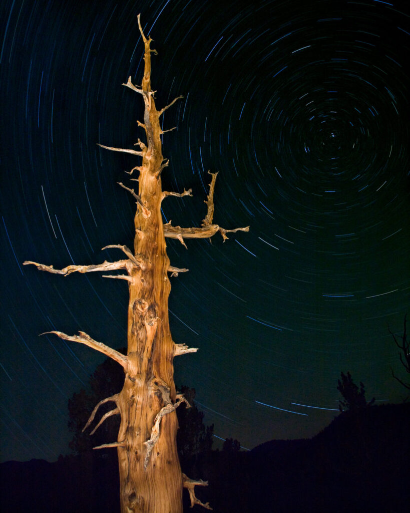 Star Trails