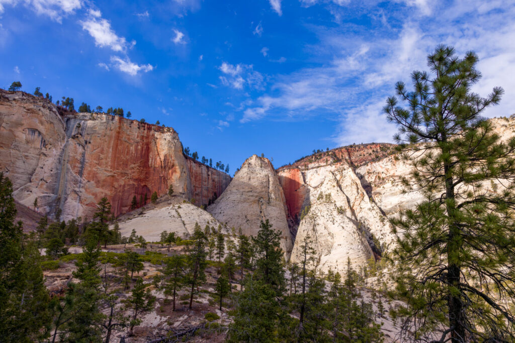 Further Views Along the West Rim Trail