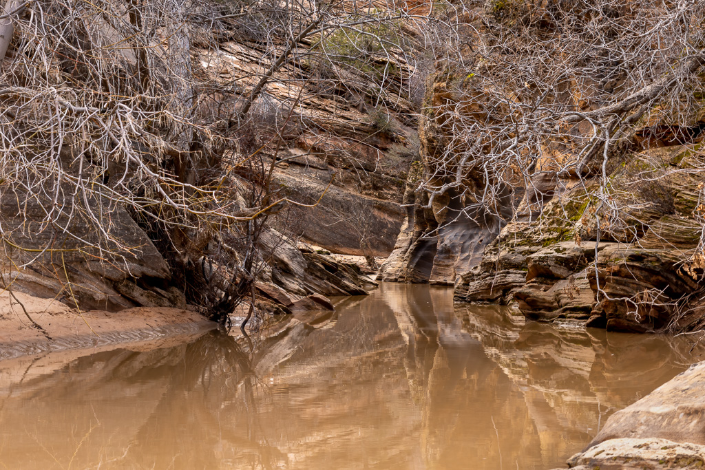 Water Fills the Canyon