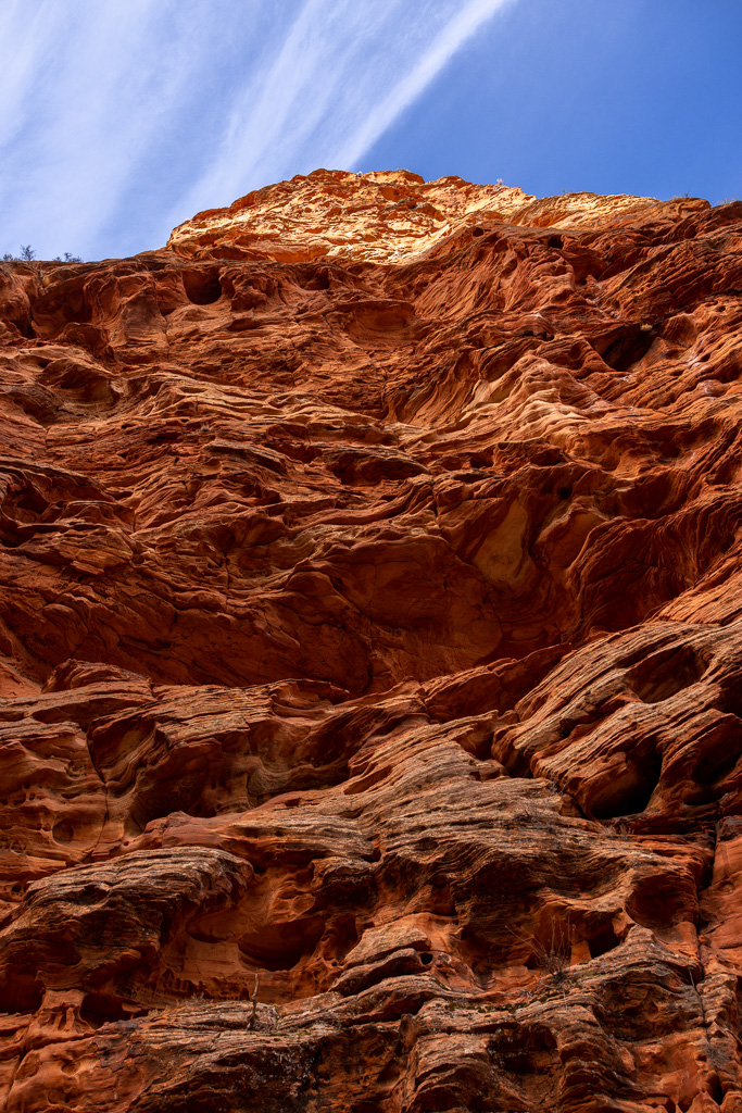 High Canyon Wall