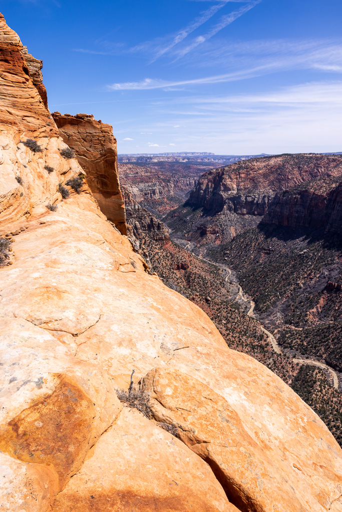 Looking up the Canyon