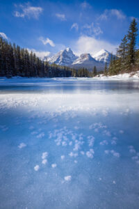 Ice Flowers Fine Art Photographic Print