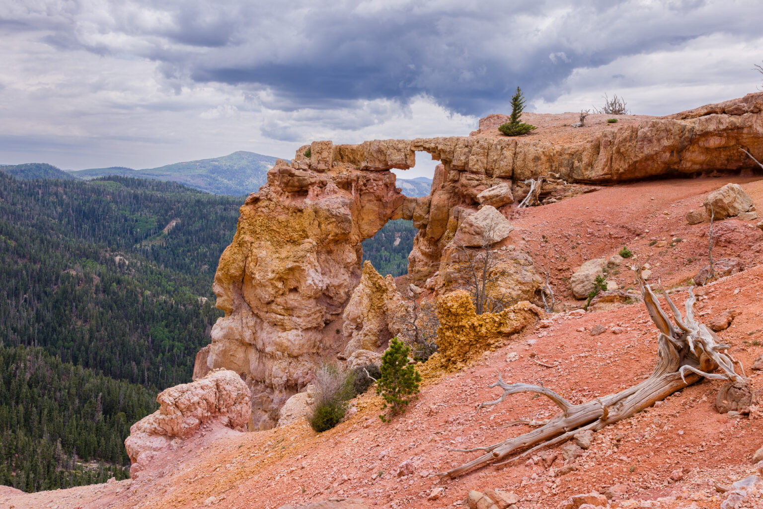 Bartizan Arch