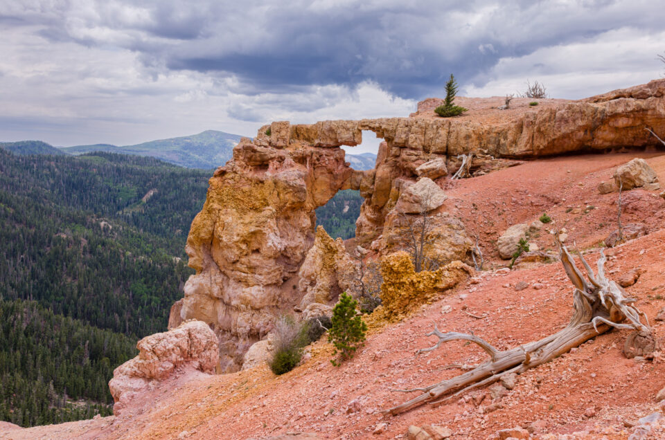 Bartizan Arch