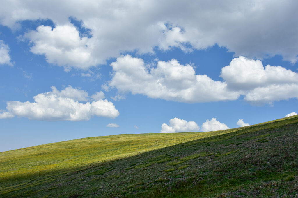 Sound of Music View