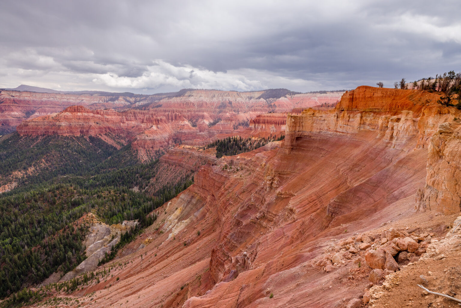 View From the Edge