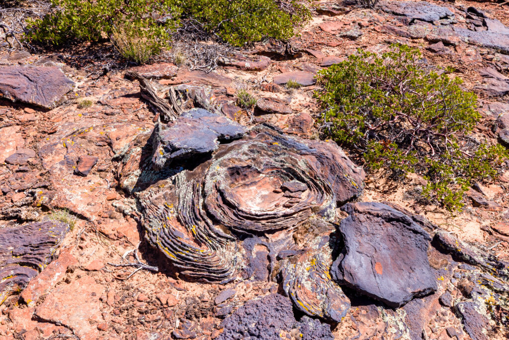 Crusty Rock in the Ground
