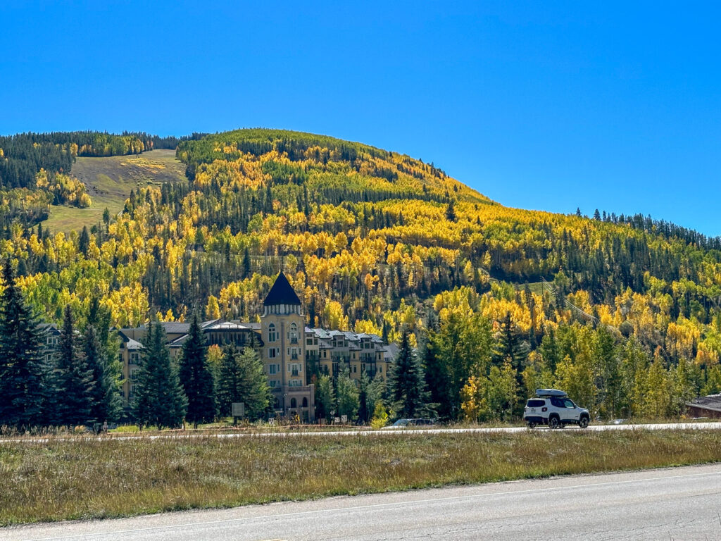 Fall Color in Vail