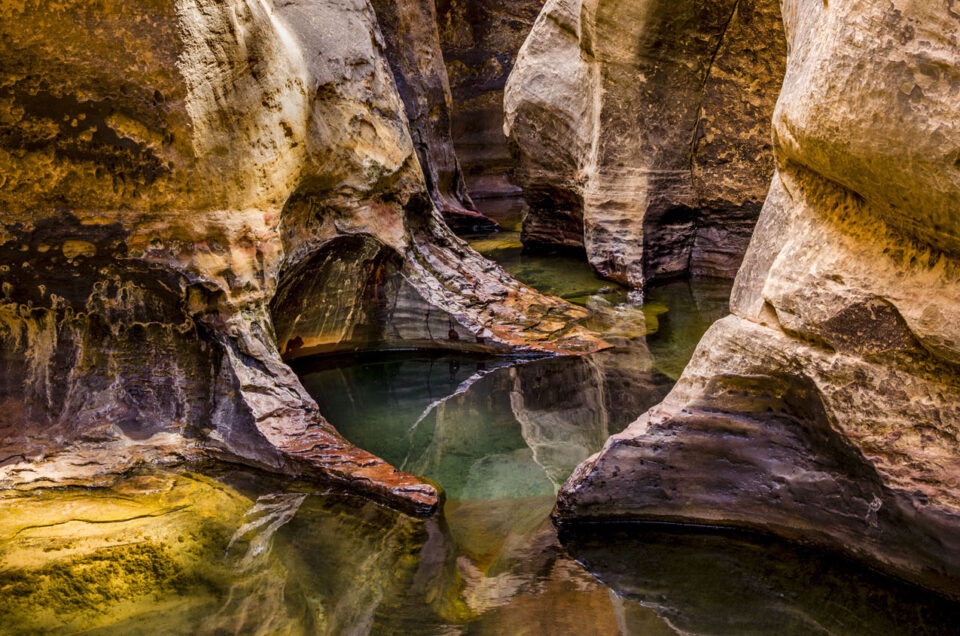 Featured Artist PC November