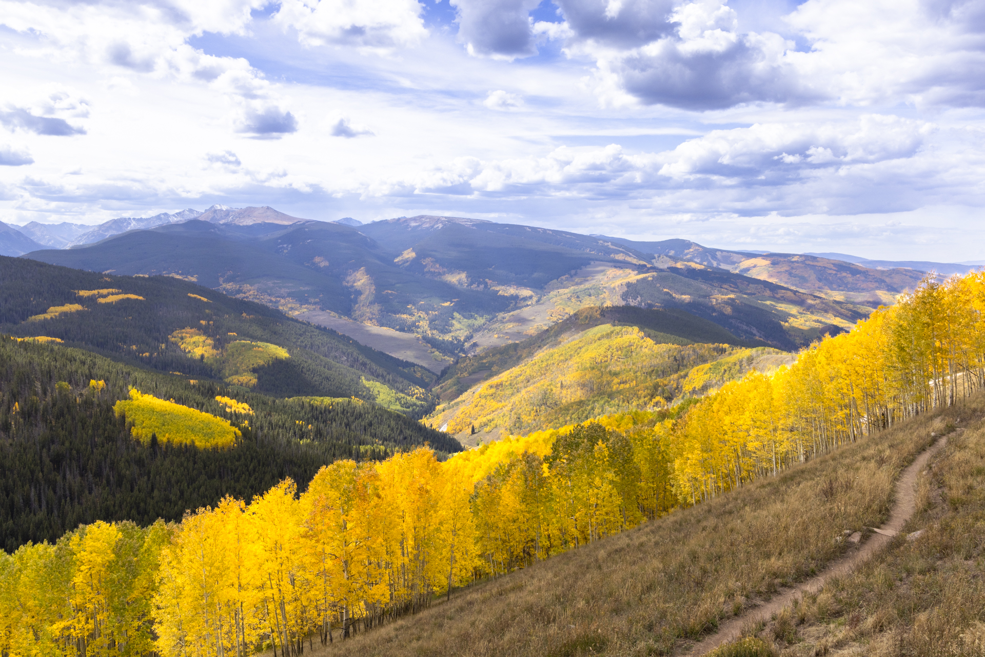 Vail Fall Color by Mieko Aono
