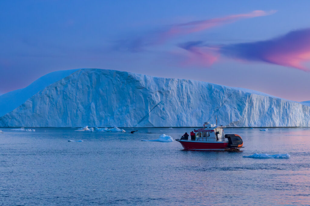 Another Viewer of the Whale