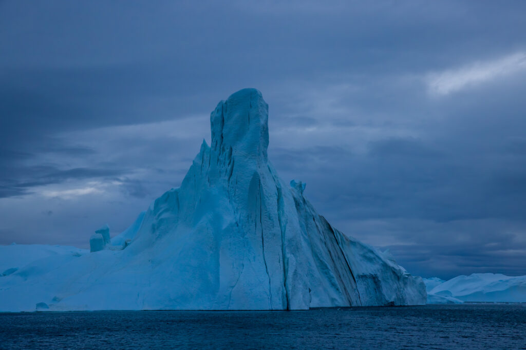 First Night Icebergs - Elephant Seal Lookalike
