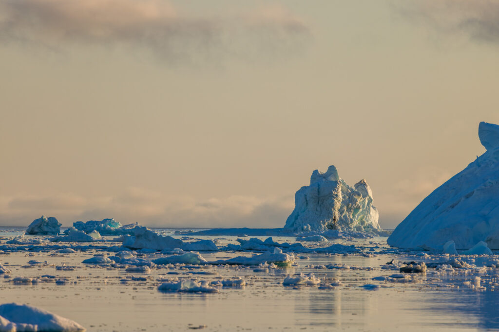 Icebergs Far Out in the Sea