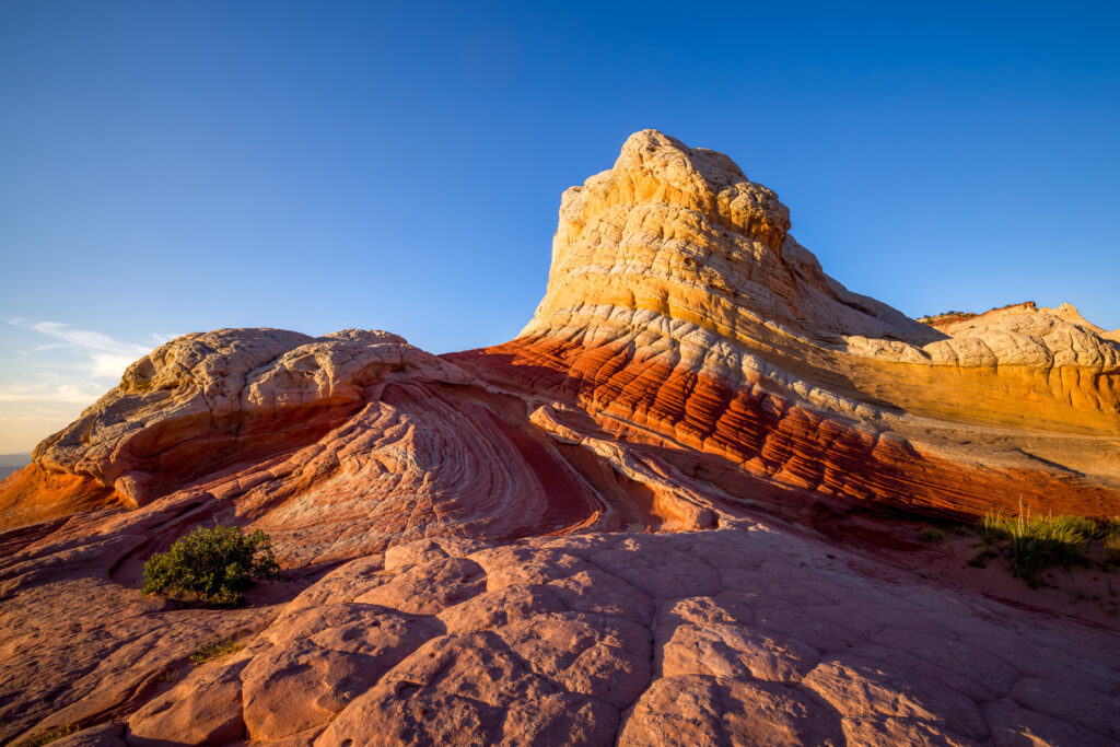Beautiful Late Afternoon Light