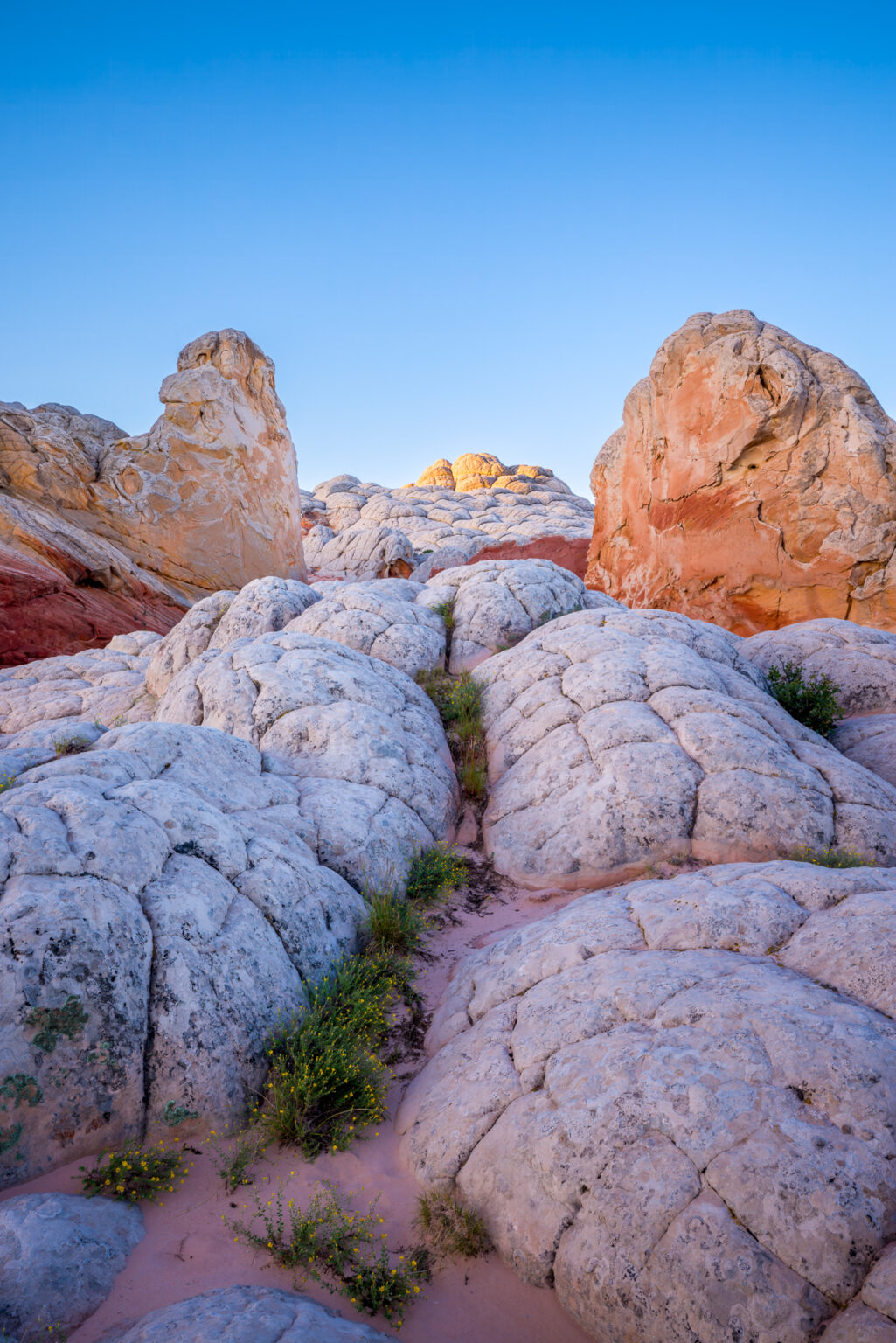Looking Up the Brainy Rocks