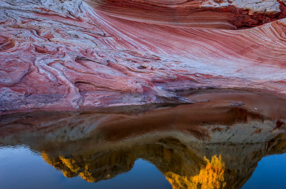 White Pocket Reflection Wide