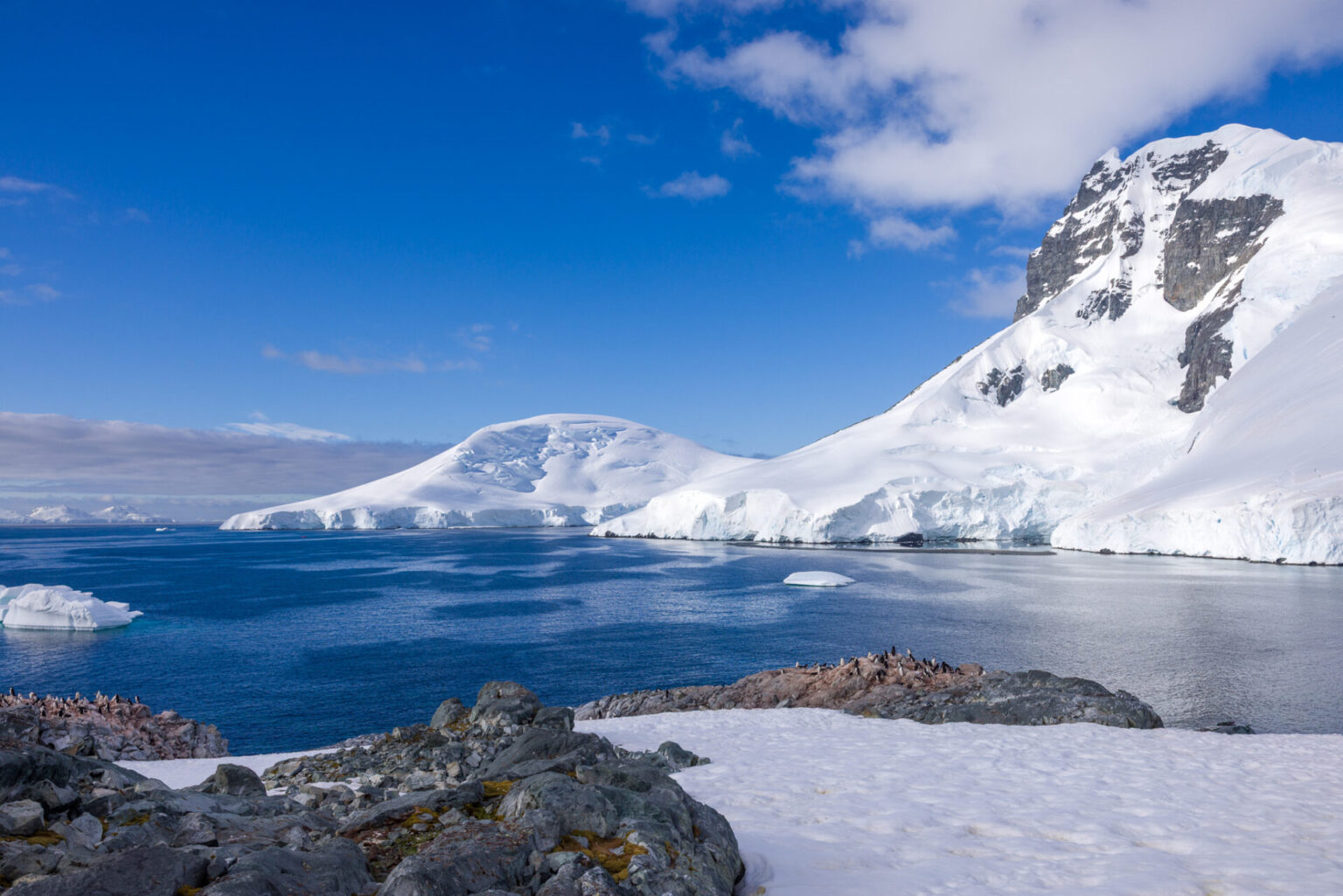 Overlooking the Chinstrap Colony