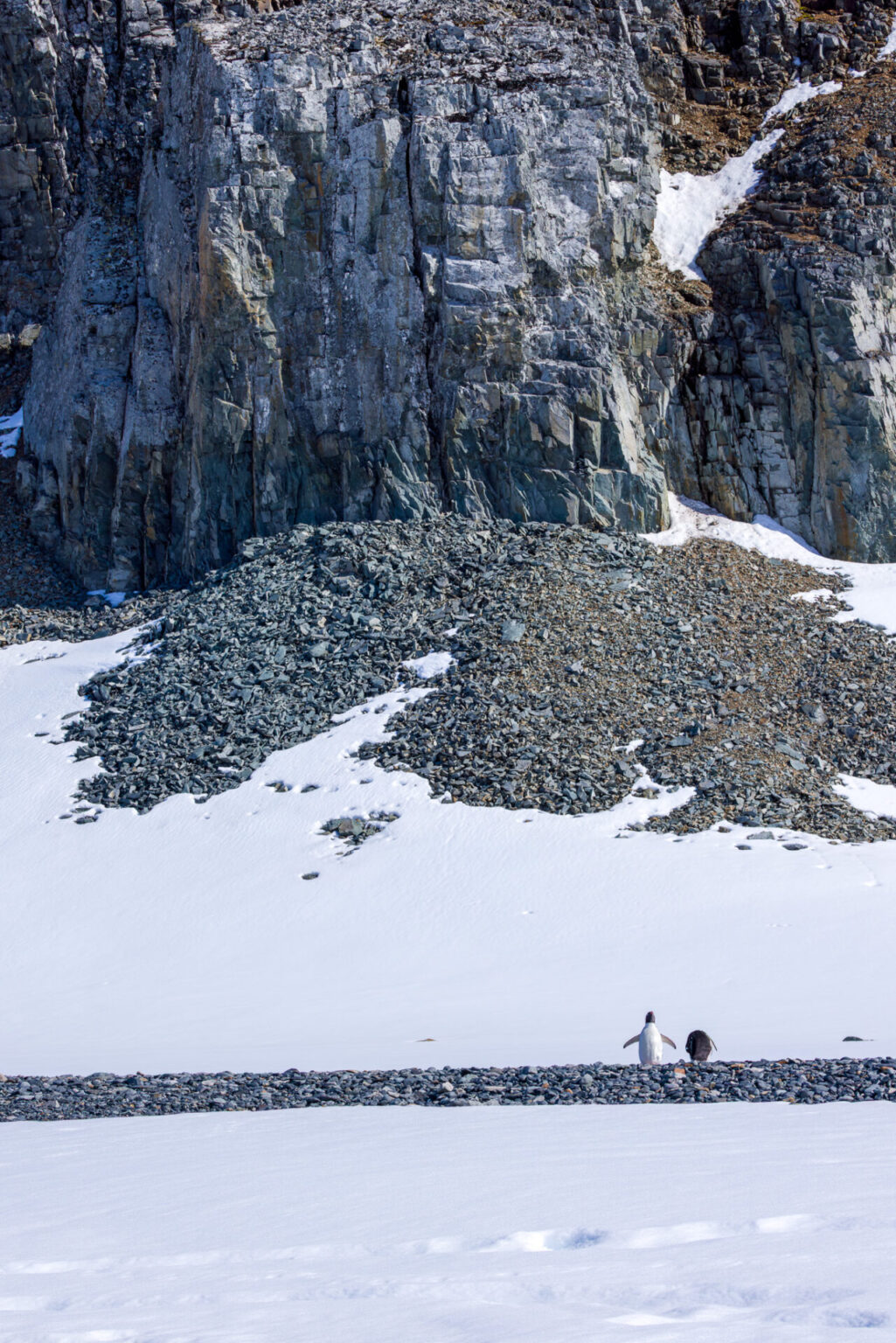 Small Penguins, Giant Rocks