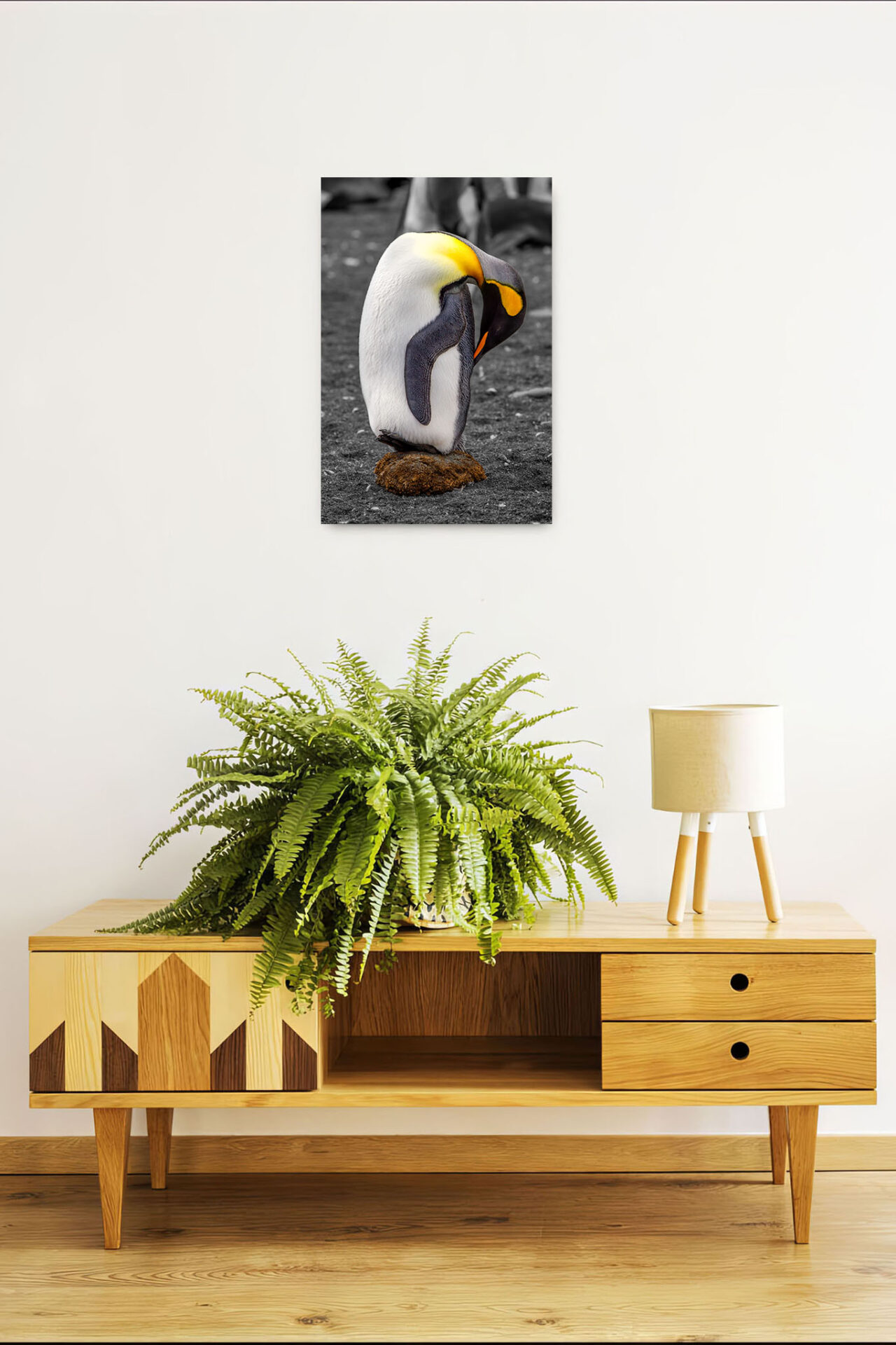 Balancing Penguin Wall Display