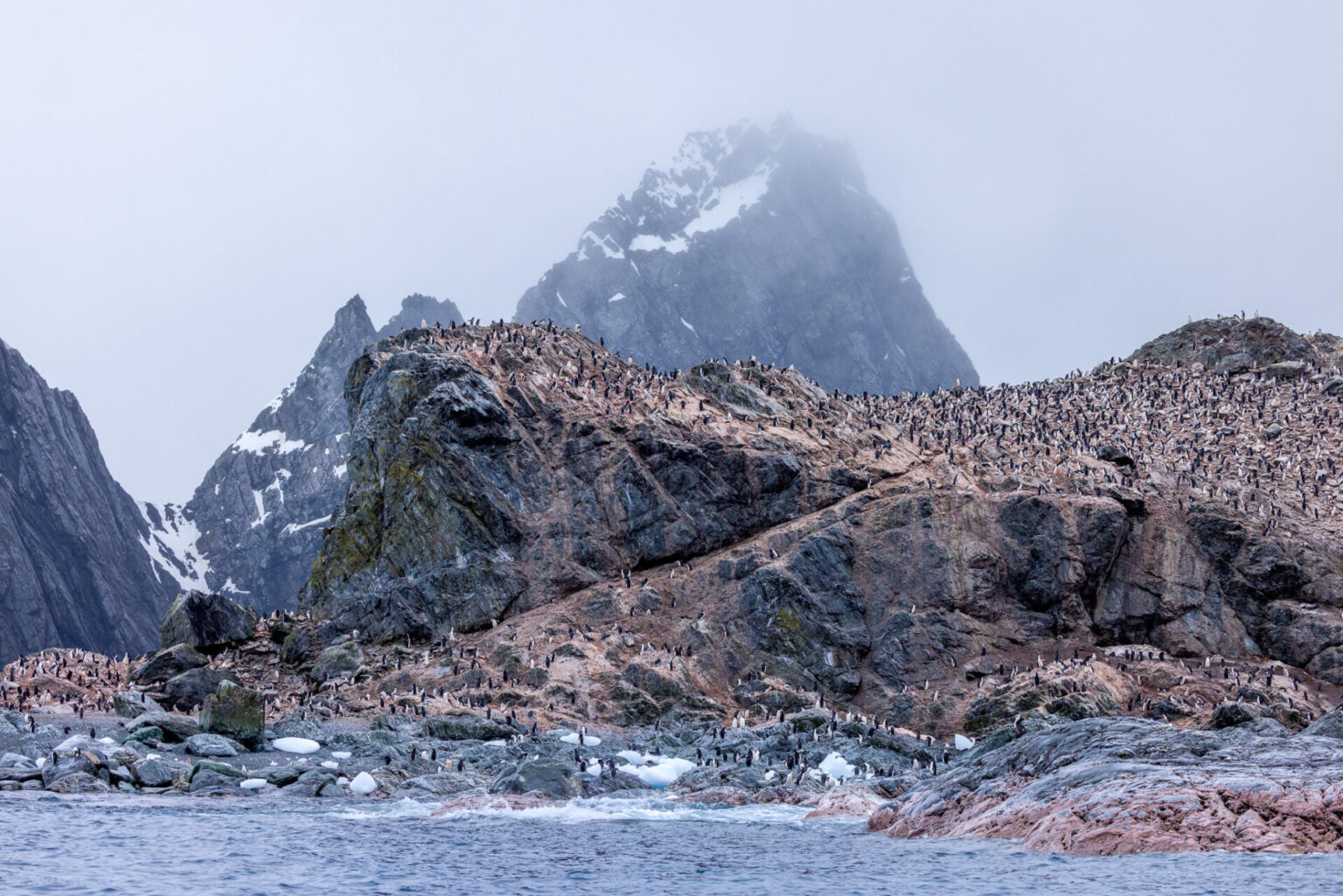 Penguin Colony at Elephant Island