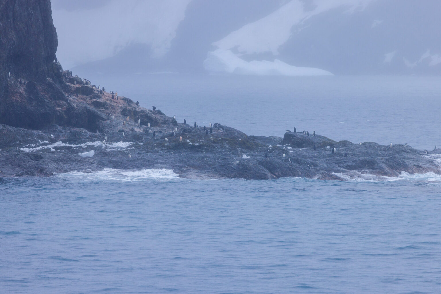 Elephant Island Through the Fog