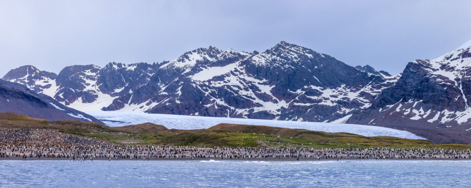 Glacier Beach Goers