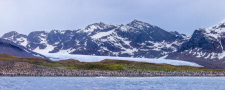 Glacier Beach Goers