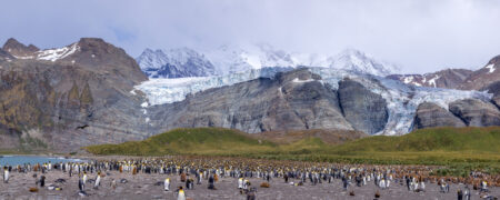 Hanging Glacier at Gold Harbor