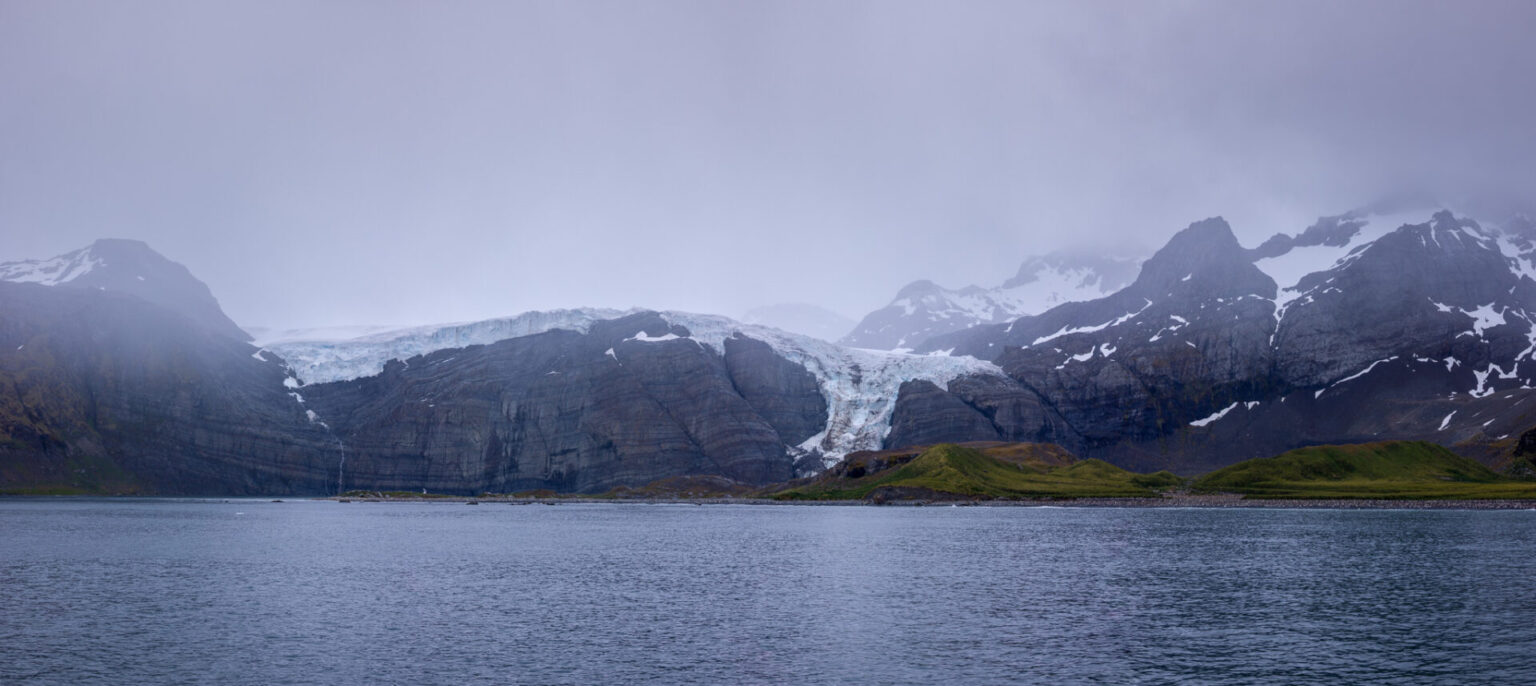 South Georgia at Gold Harbour
