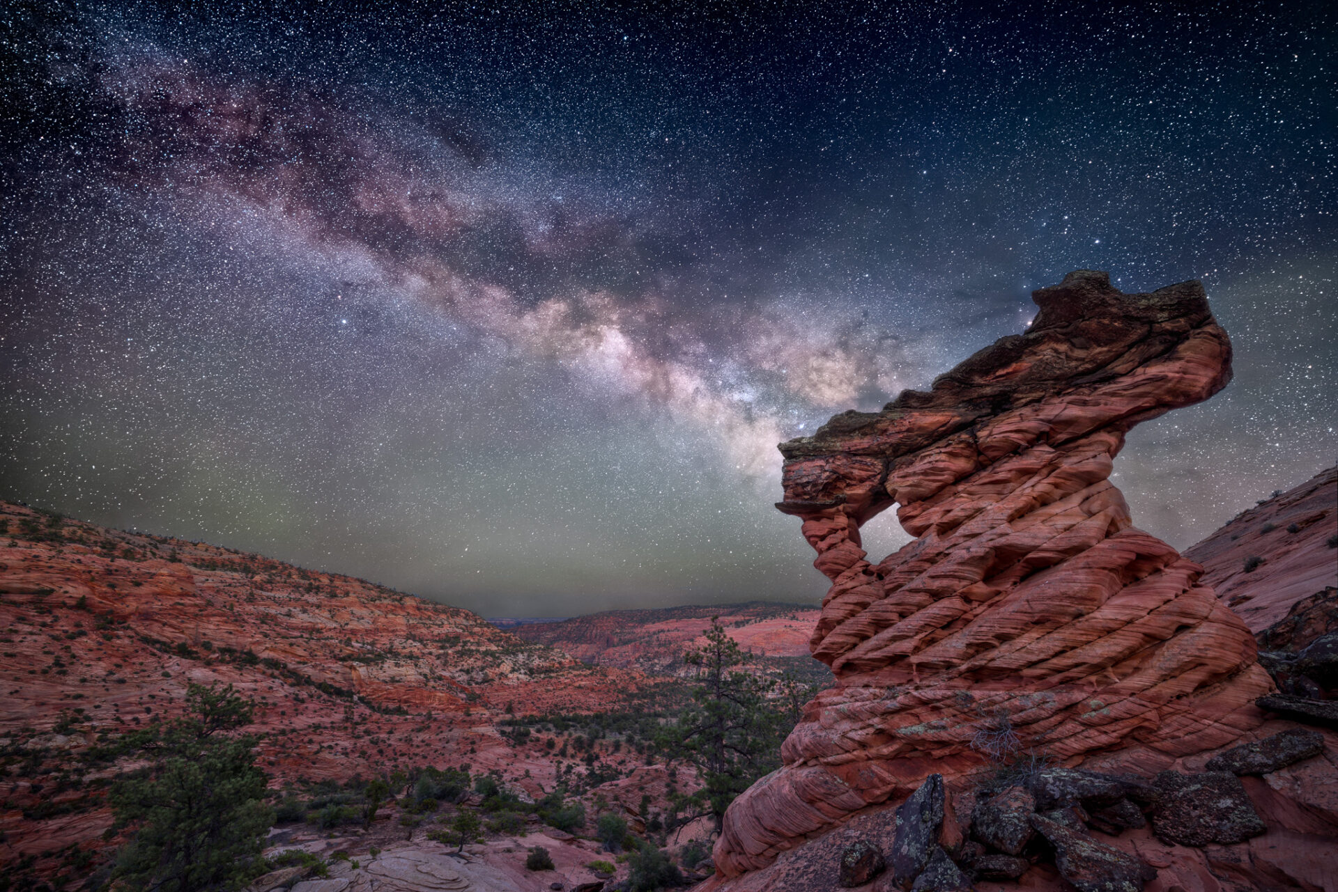 Twisted sandstone formation in Zion National Park beneath the Milky Way glowing across a clear night sky.