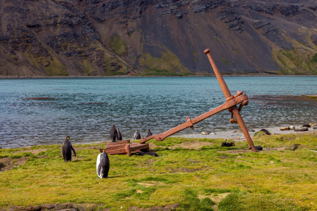 Old Anchor at Grytviken
