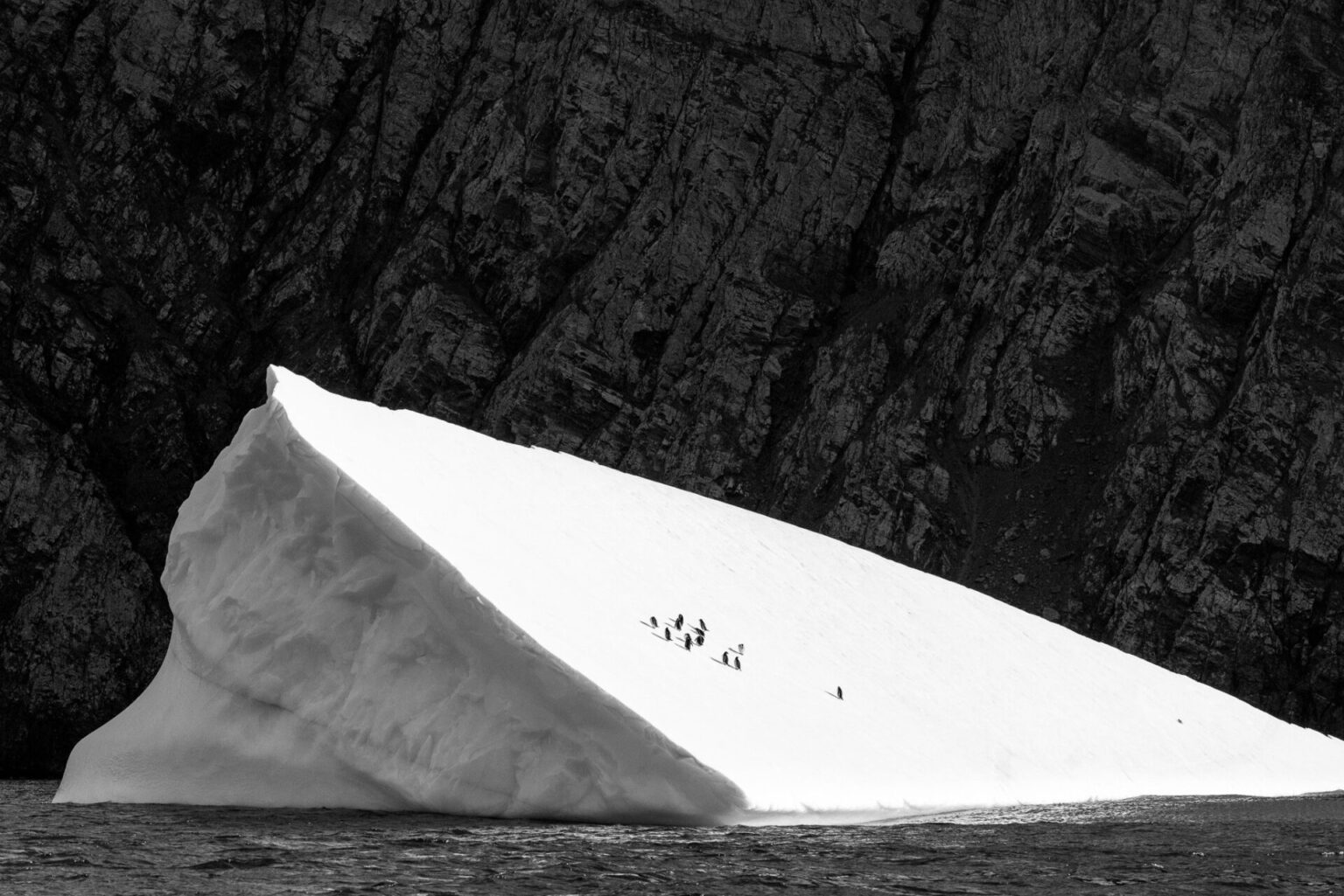 Penguins on Iceberg