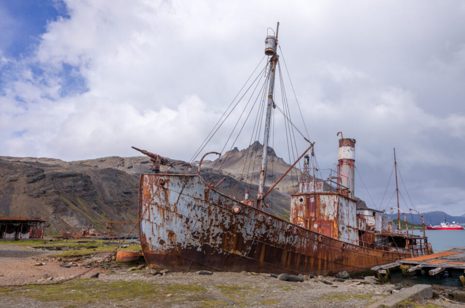 Petrel - Whaling Boat at Grytviken