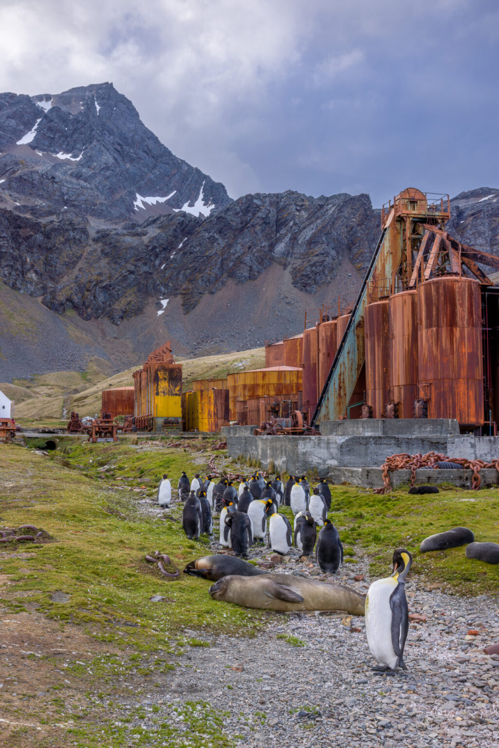 Storage Tanks at Grytviken