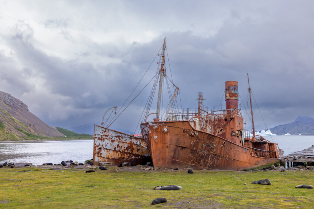 Twin Wrecks at Grytviken