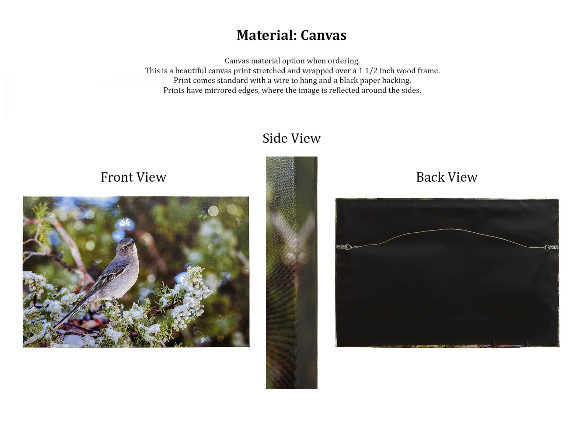 Description of what you get when selecting Canvas as Material.