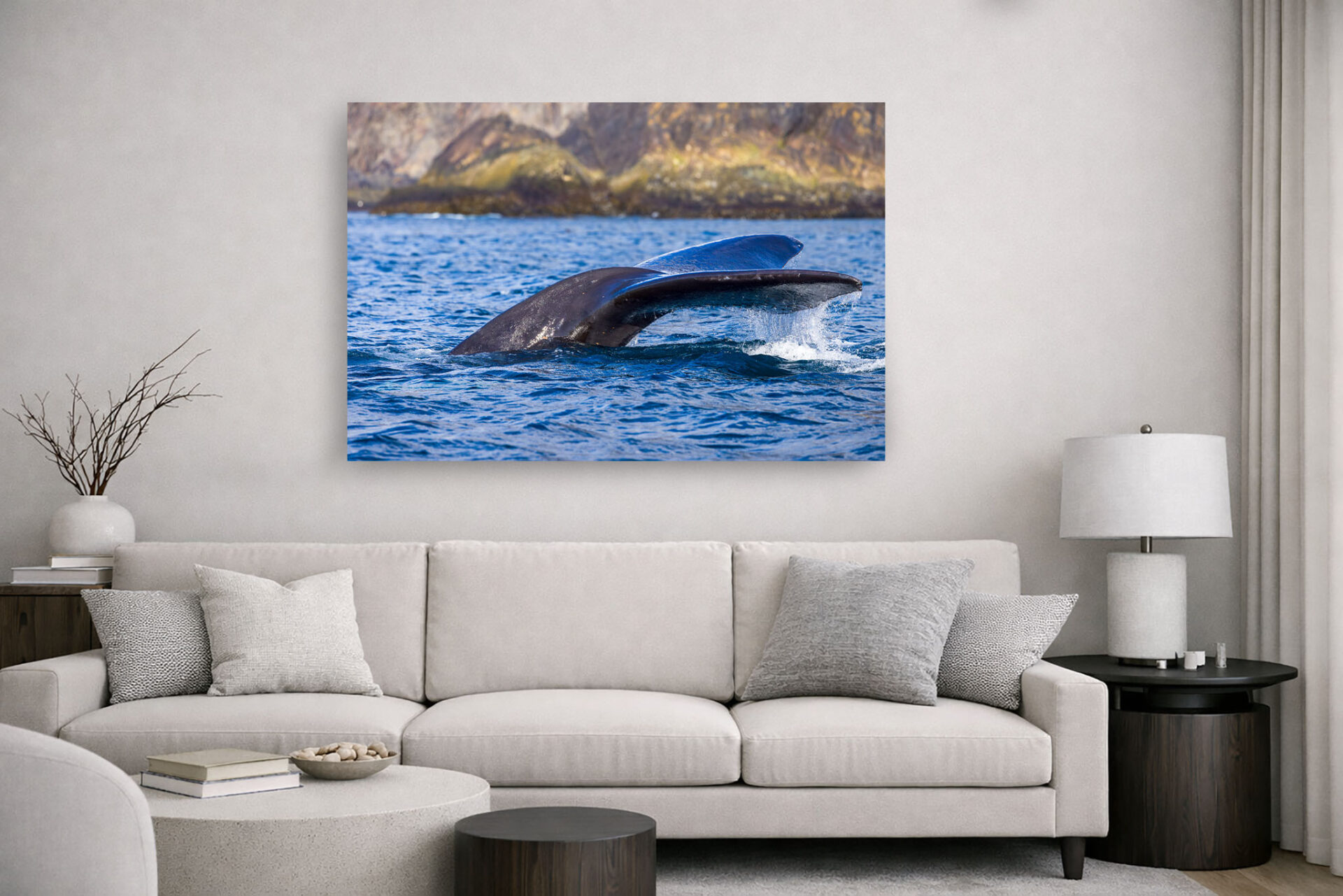 Right Whale Diving Wall Display