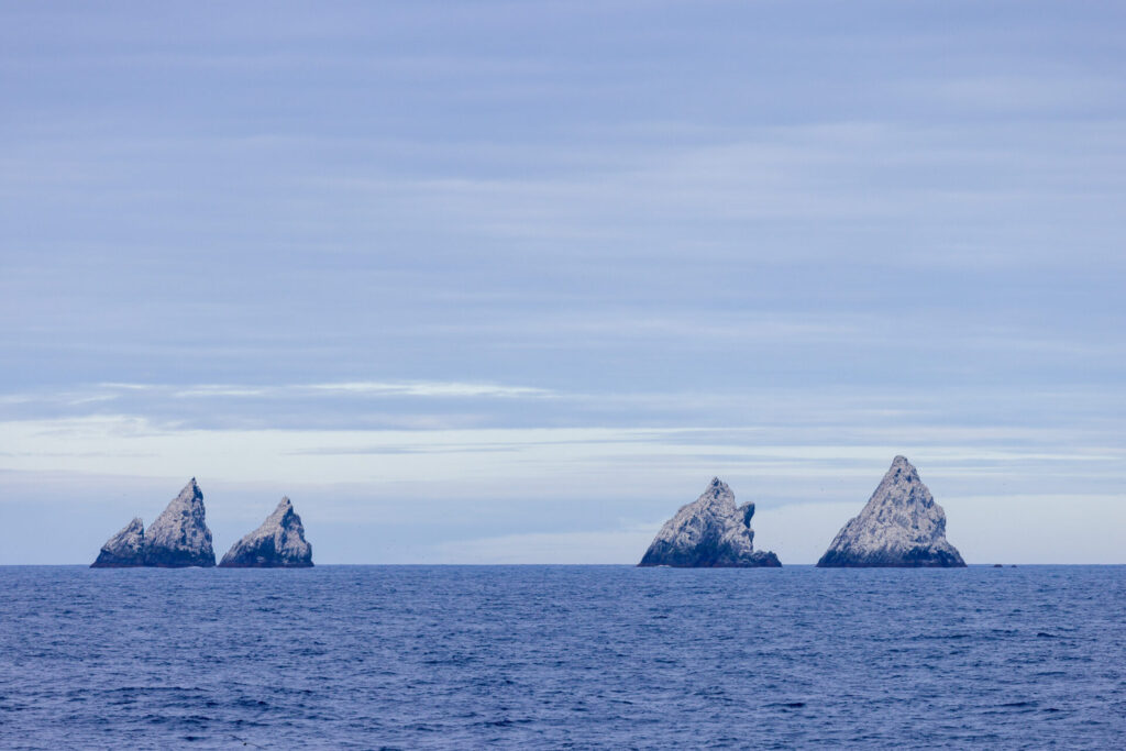 Shag Rock First Sighting