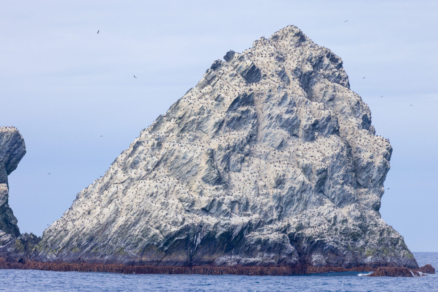 Shag Rock Real Close