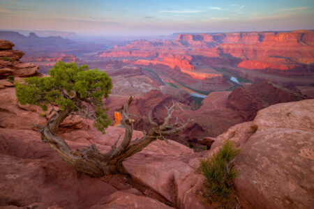 Sunrise at Dead Horse State Park. A lone Juniper tree in the foreground with the river and mountains lit by the sunrise.