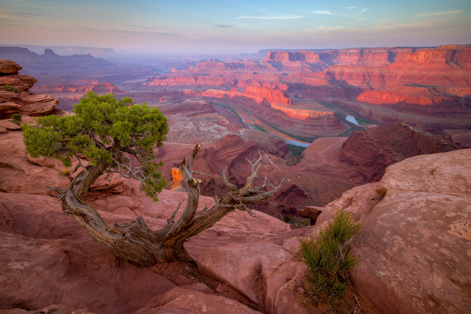 Sunrise at Dead Horse State Park. A lone Juniper tree in the foreground with the river and mountains lit by the sunrise.
