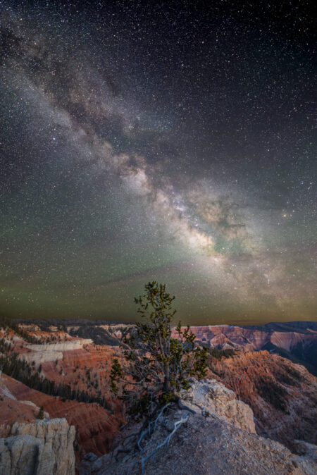 Night photo of the Milky Way over a Bristlecone Pine tree at Cedar Breaks National Monument.