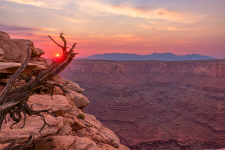 A brilliant red sun at sunrise peeking through rugged tree branches with clouds in the sky and the La Sal Mountains silhouetted.